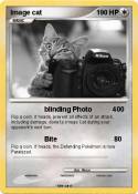 Image cat