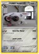 FUNNY HUSKY!!!!