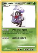 cairn terrier /