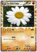 The Wild Daisy