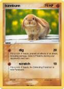 bunnbunn