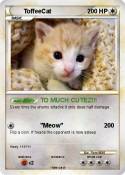 ToffeeCat