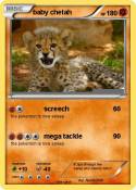 baby chetah