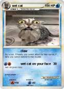wet cat
