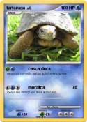 tartaruga