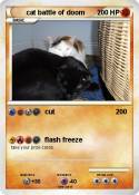 cat battle of