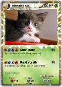 adorable cat