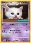 Kitty Cat