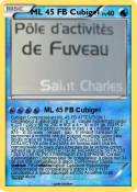 ML 45 FB Cubige