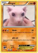 bingus
