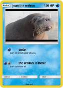 joan the walrus