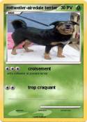 rottweiler-airedale