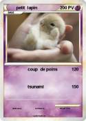 petit lapin