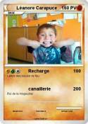 Léanore Carapuce