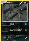 M16 EX
