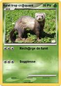 furet trop