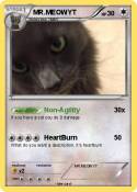 MR.MEOWYT