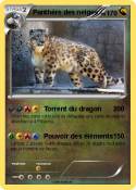 Panthère des