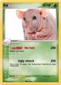 Rat