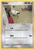 Buddy