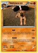 TREPUNCH EX