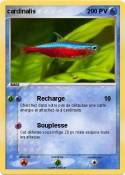 cardinalis
