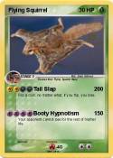 Flying Squirrel