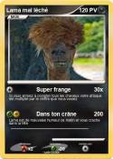 Lama mal lêché