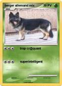 berger allemand