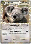 koala5000
