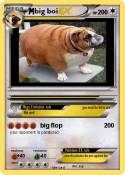 big boi