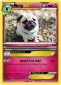 pug