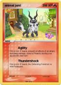 animal jam!