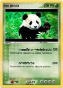 oso panda