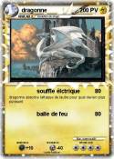 dragonne