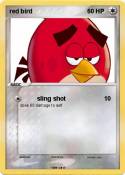 red bird