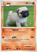 pug