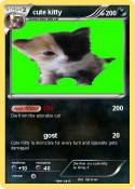 cute kitty