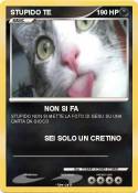 STUPIDO TE