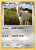 chèvre blanche