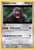 harambe's siste