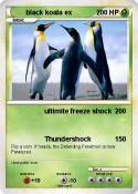 black koala ex