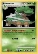 Torterra
