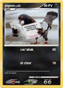 pigeon