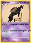 greyhound
