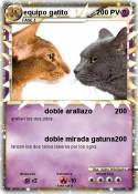 equipo gatito