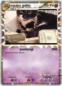 equipo gatito