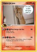 chaton jte jure
