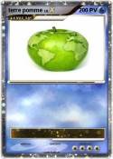terre pomme