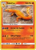 SalloFeu